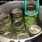 A picture of a canner with 8 jars of beans.  One jar is being removed using canning tongs.
