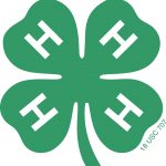 4-H logo green 4 leaf clover with a white H on each petal