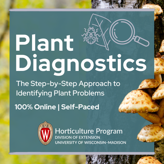 Plant Diagnostics The Step-by-Step Approach to Identifying Plant Problems