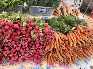2026 Hayward – Northwest Wisconsin Farmers &  Community Markets
